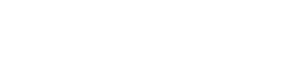 Sistema D3STRAVA